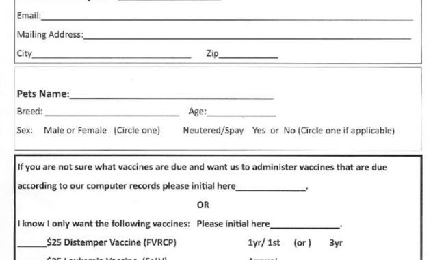 Vaccines Abc Pet Clinic Inside Rabies Vaccine Throughout Best Fishing Certificates Top 7 Template Designs 2019