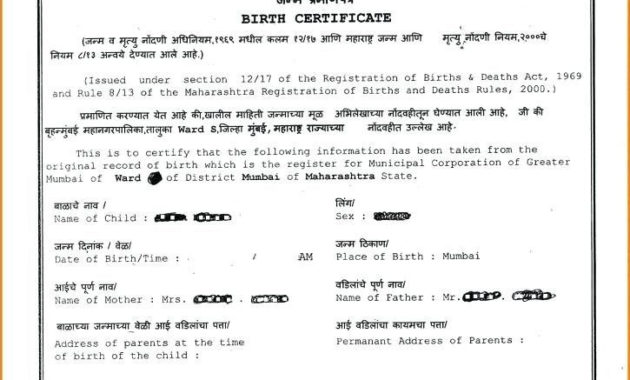 Veterinary Health Certificate Template Carlynstudio Inside Veterinary Health Certificate Template