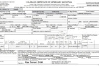 Veterinary Health Certificate Template Carlynstudio Within Printable Veterinary Health Certificate Template
