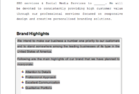 Website Design And Development Business Plan Sample Pages Pertaining To Business Plan Template For Website