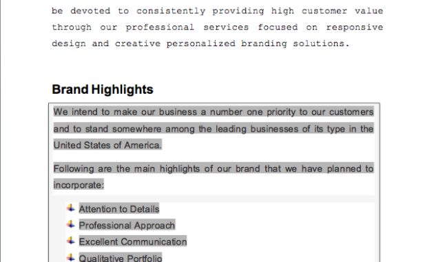 Website Design And Development Business Plan Sample Pages Pertaining To Business Plan Template For Website