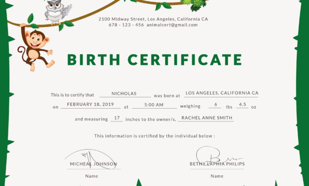 What Is Birth Certificate Throughout Editable Birth Certificate Template
