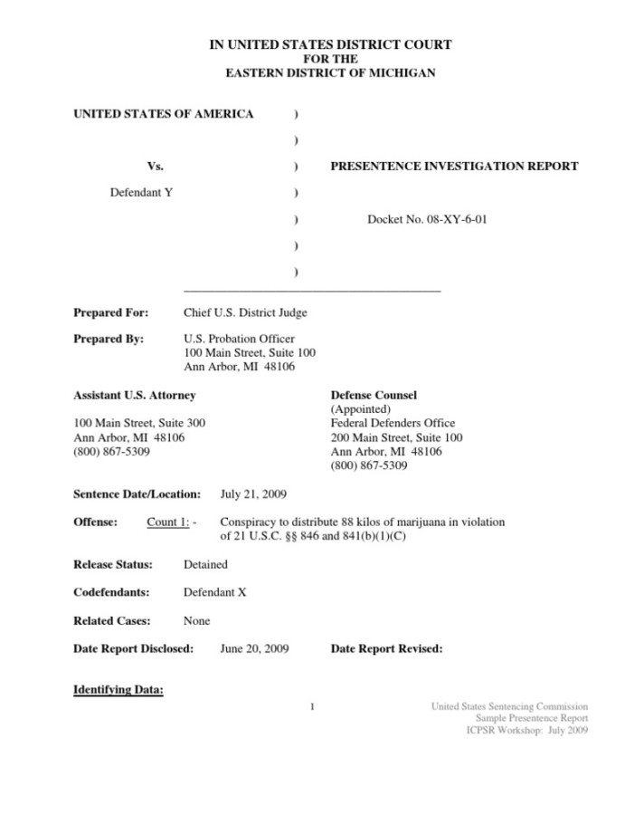 Sample Pre-Sentence Investigation Report PDF United States Sample Pre-Sentence Investigation Report PDF United States