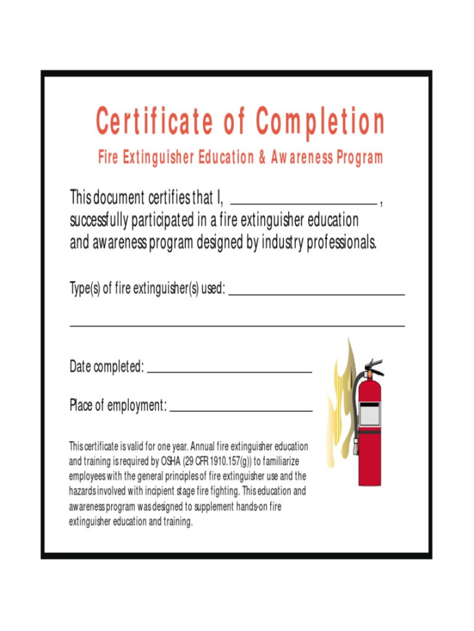 Fire Extinguisher Certificate PDF Fire Extinguisher Certificate PDF