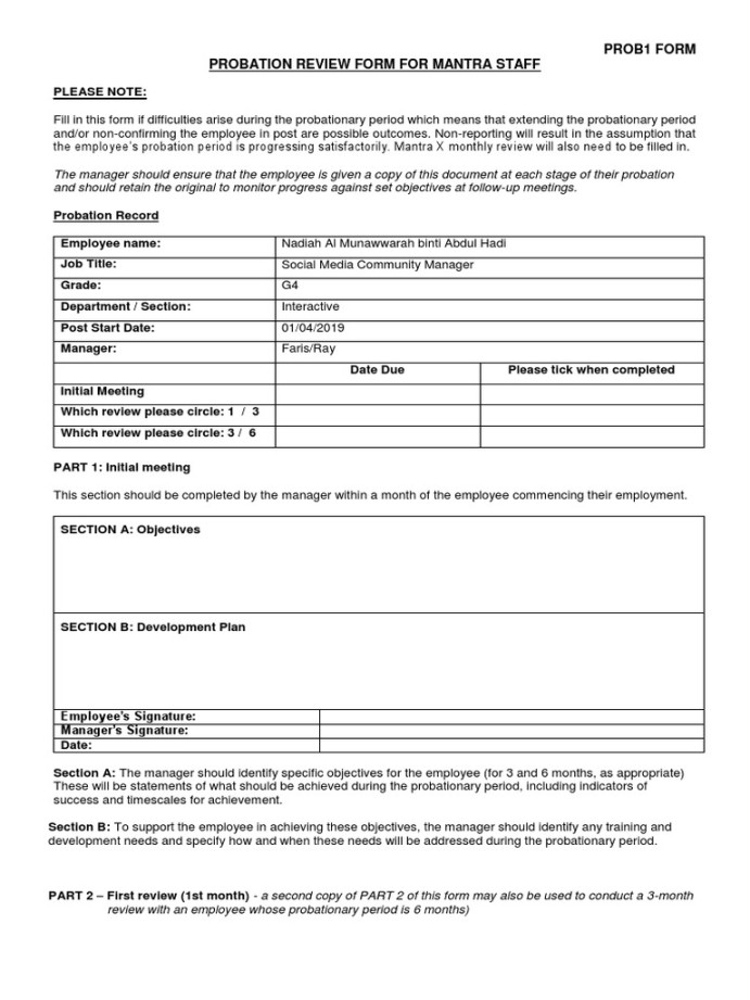 HR Probationary-Form Download Free PDF Probation Employment HR Probationary-Form Download Free PDF Probation Employment