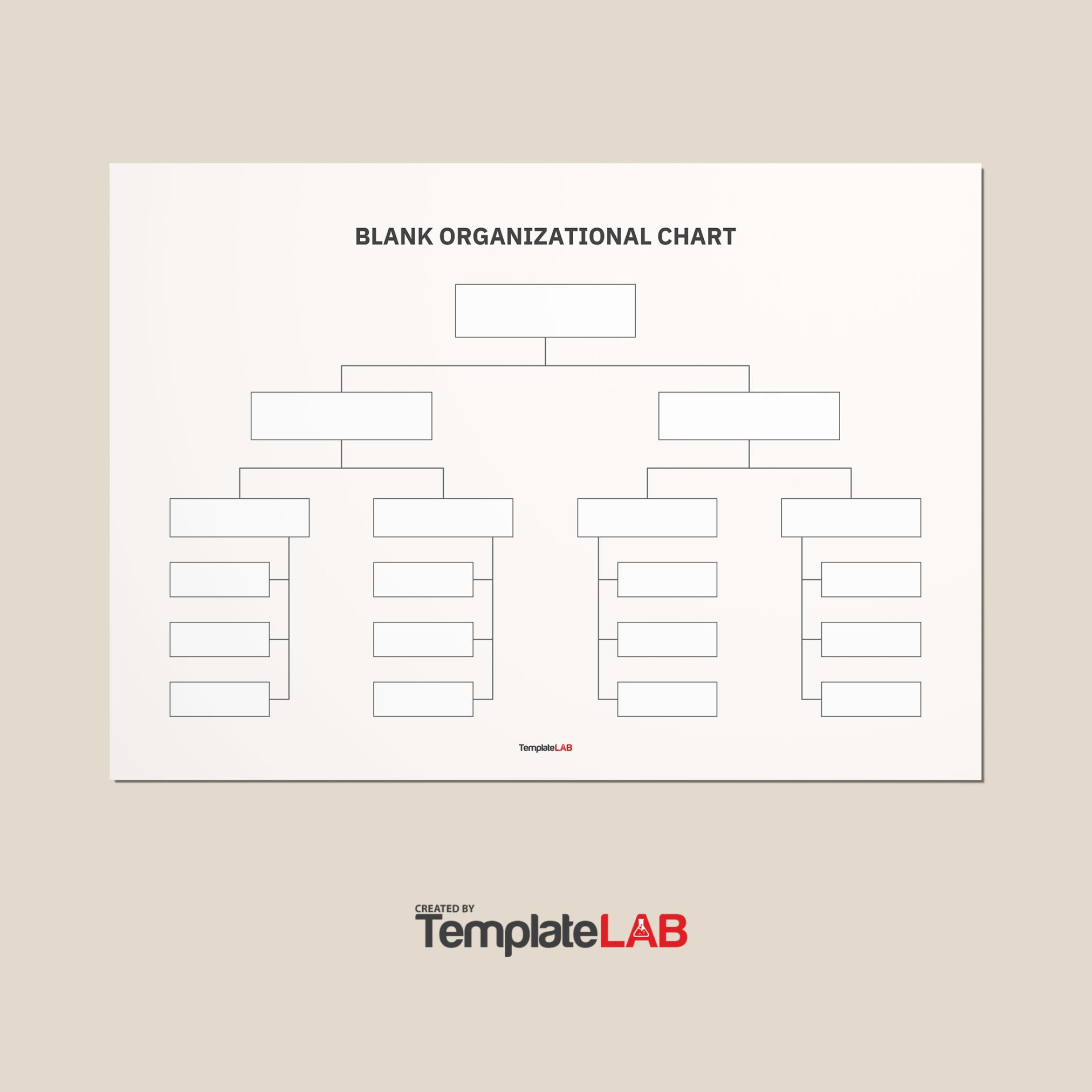 Organizational Chart Templates (Word, Excel, PowerPoint, PSD) Organizational Chart Templates (Word, Excel, PowerPoint, PSD)