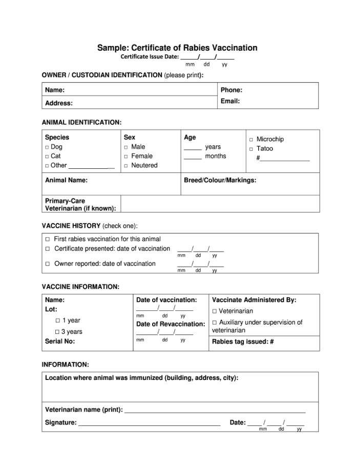 Rabies Certificate Template - Fill Online, Printable, Fillable Rabies Certificate Template - Fill Online, Printable, Fillable